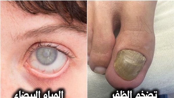 موقع أيام نيوز
