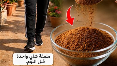 المسنون: مكمل طبيعي بسيط قبل النوم لتعزيز تدفق الډم وتنشيط الدورة الدموية في الساقين (تحليل علمي 2026)