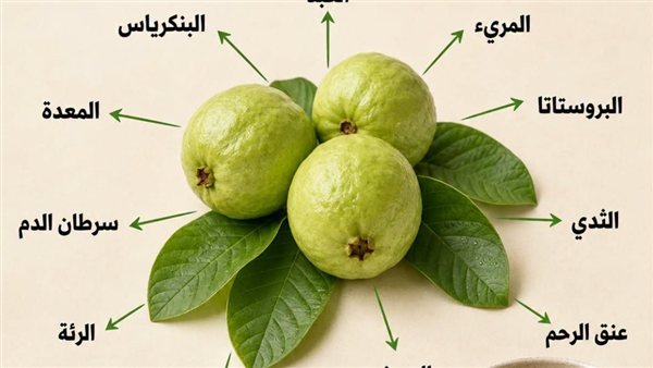 موقع أيام نيوز